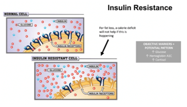 Insulin Resistance breakdown
