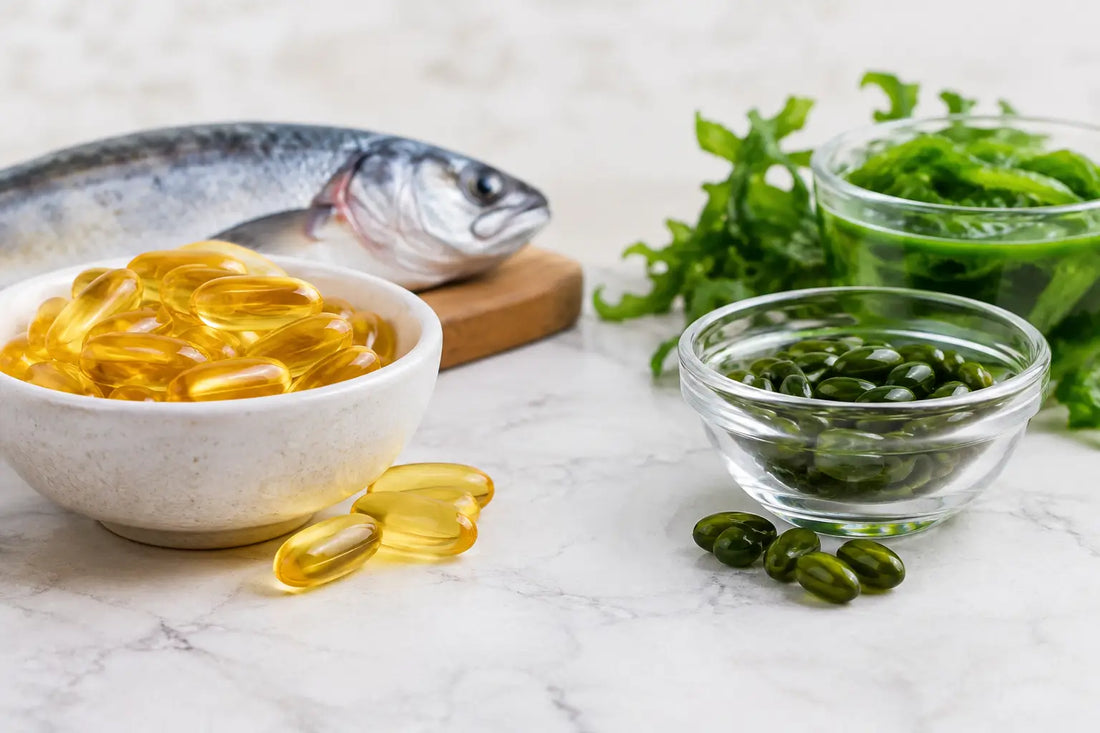 Fish Oil vs Algae Omega: Which Is Better?