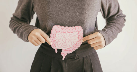 gut health, digestion, immune system